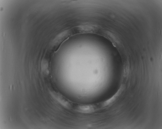 X0000086280187200704051344