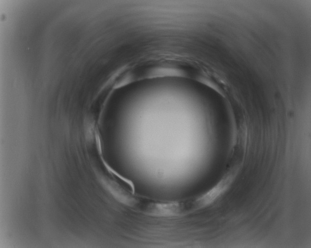 X0000086280188200704051344