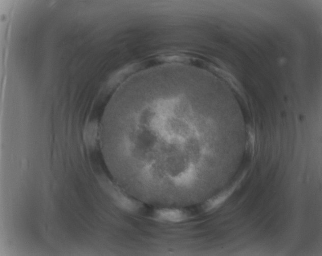 X0000086280189200704051344