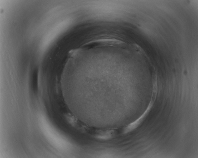 X0000086280191200704051344