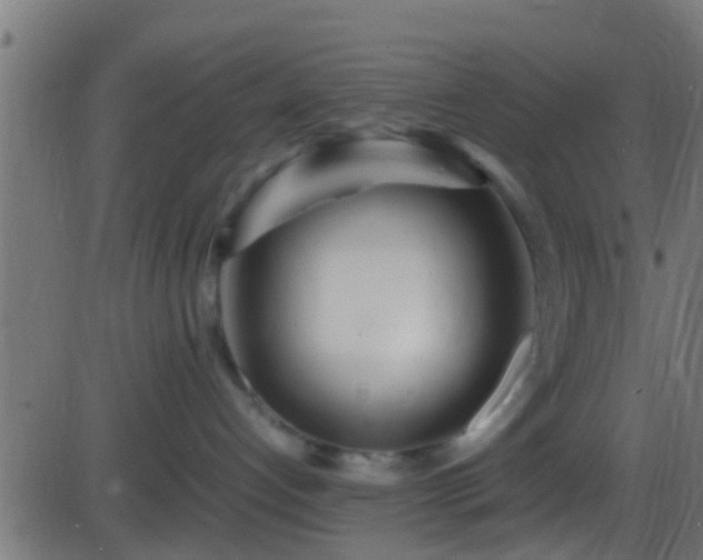 X0000086280192200704051344