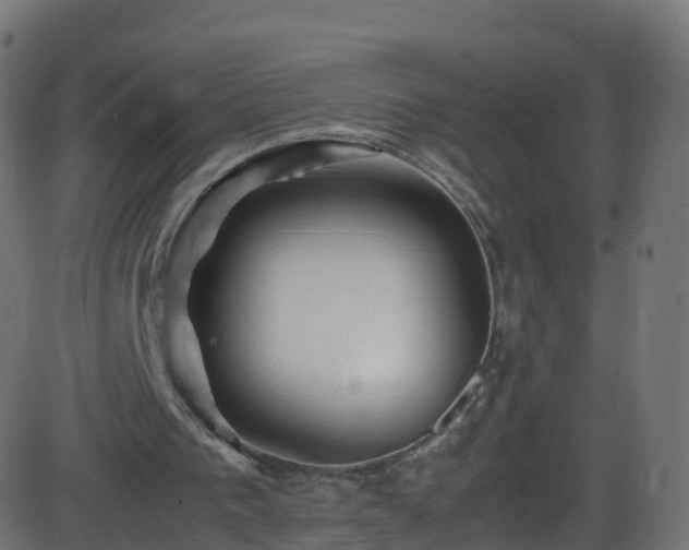 X0000086280193200704051344