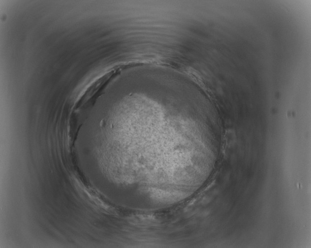 X0000086280194200704051344