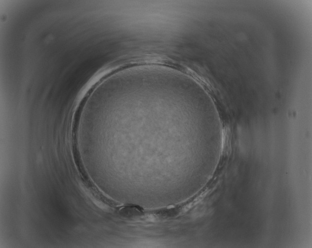 X0000086280195200704051344