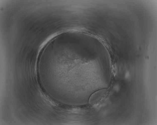 X0000086280196200704051344