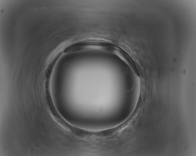 X0000086280197200704051344