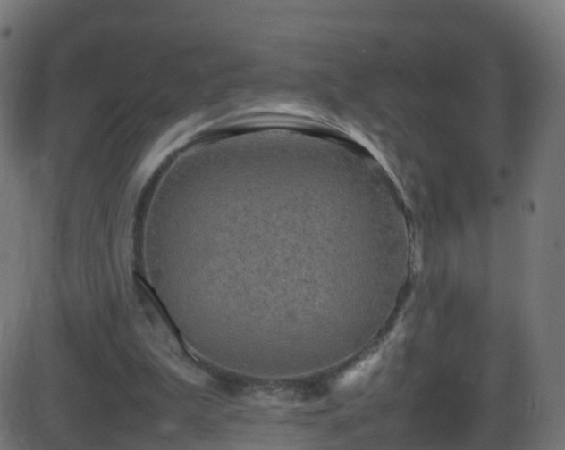 X0000086280199200704051344