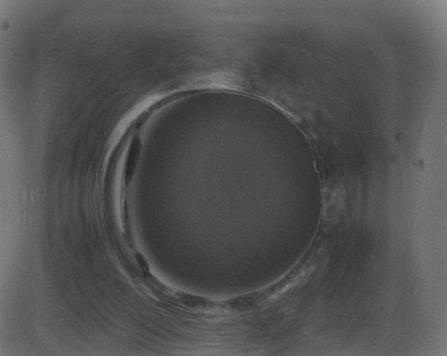 X0000086280200200704051344