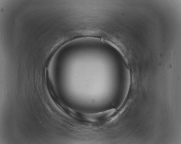 X0000086280201200704051343