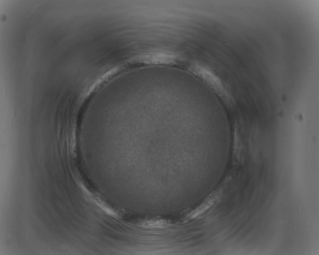 X0000086280202200704051343