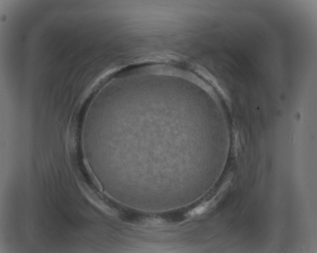 X0000086280203200704051343