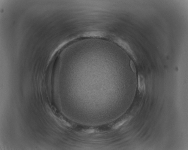 X0000086280204200704051343