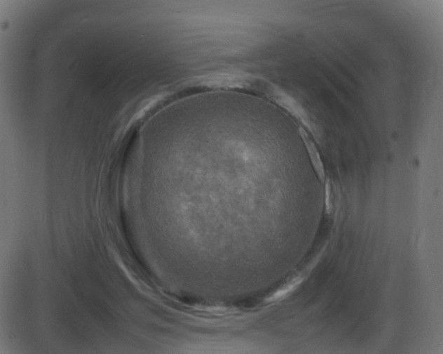 X0000086280205200704051343