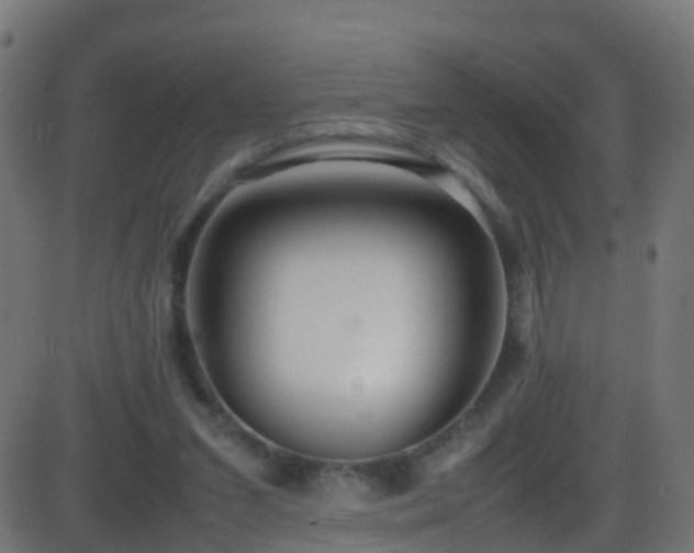 X0000086280207200704051343