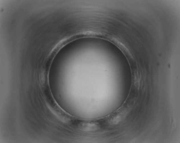 X0000086280208200704051343