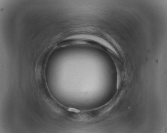 X0000086280209200704051343