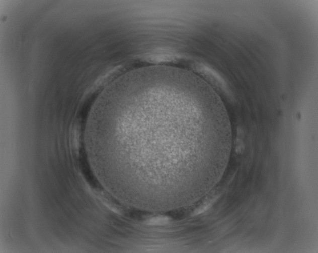 X0000086280210200704051343