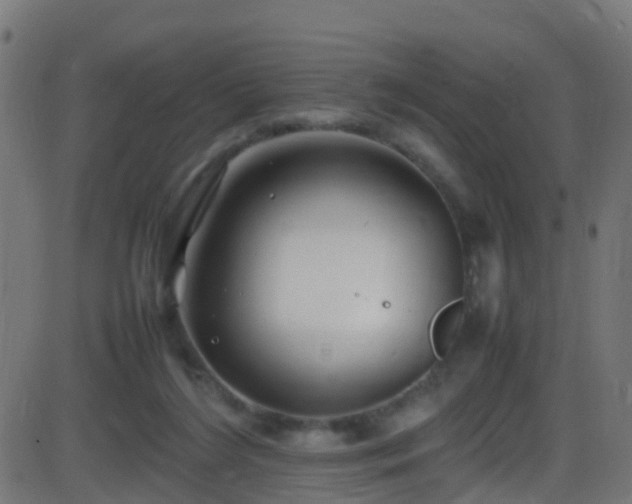 X0000086280212200704051343