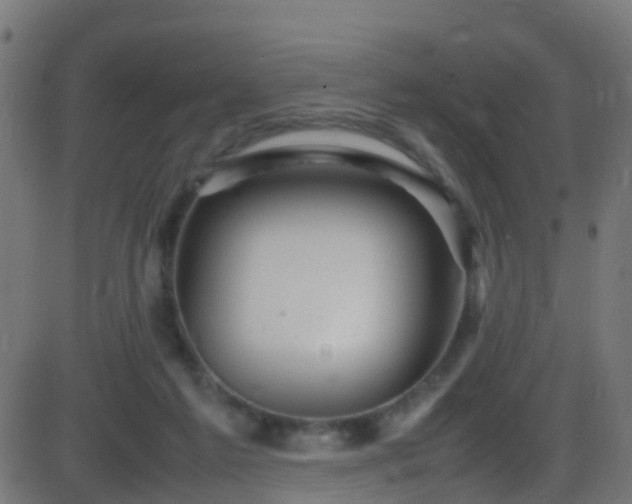 X0000086280213200704051343