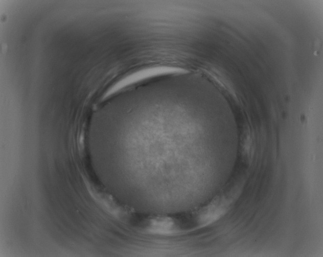 X0000086280214200704051343