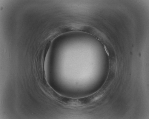 X0000086280215200704051343