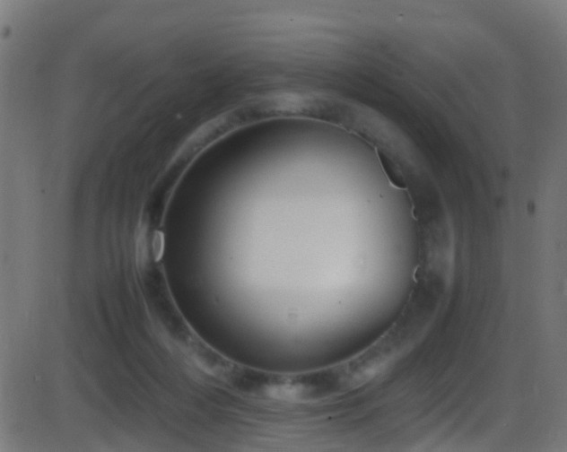 X0000086280216200704051343