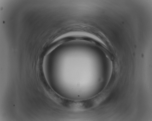 X0000086280217200704051343