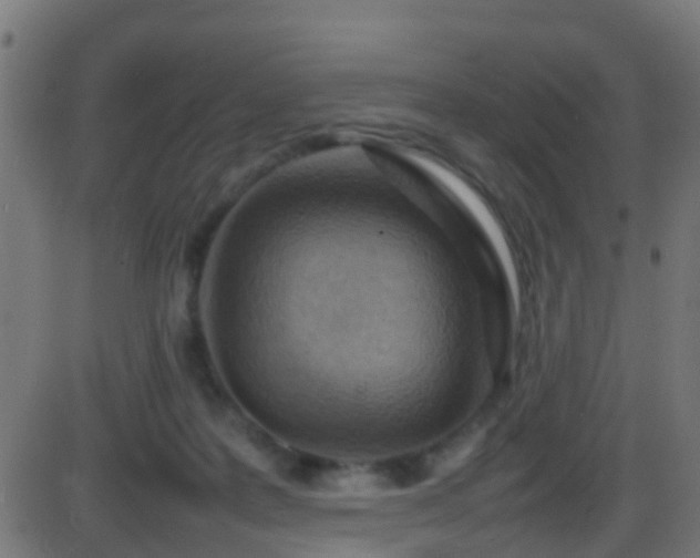 X0000086280219200704051343