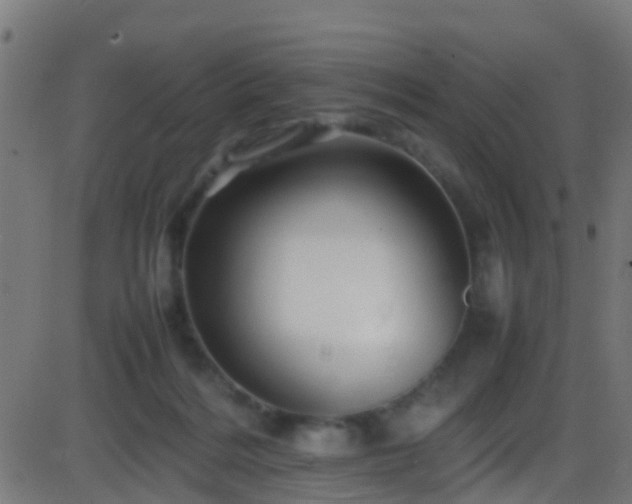 X0000086280220200704051343