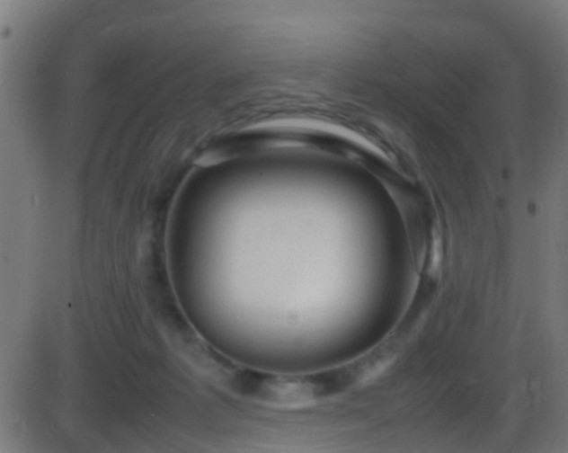 X0000086280221200704051343