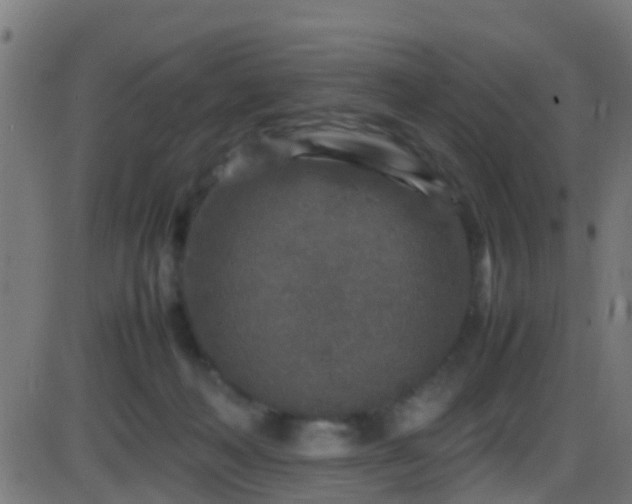 X0000086280222200704051343