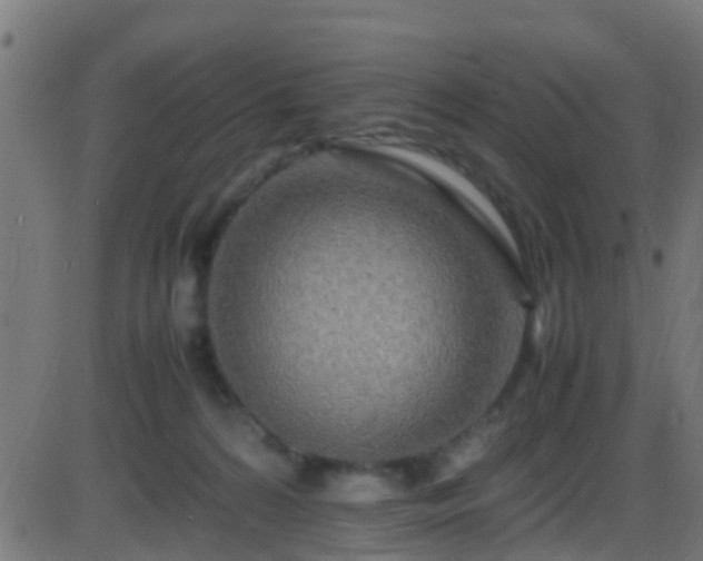 X0000086280224200704051343