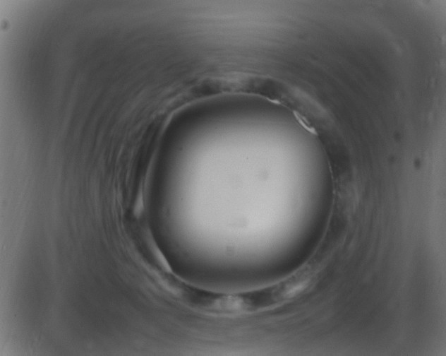 X0000086280225200704051343