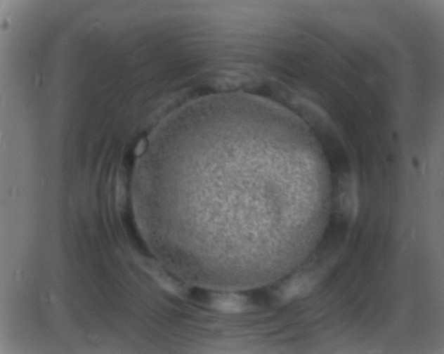 X0000086280226200704051343