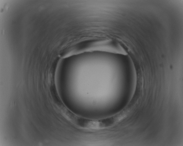 X0000086280227200704051343