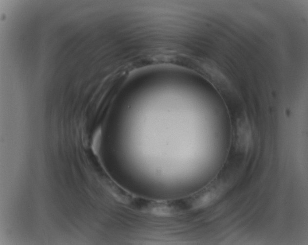 X0000086280228200704051343