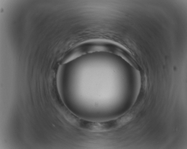 X0000086280229200704051343