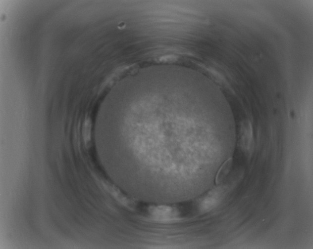 X0000086280230200704051343