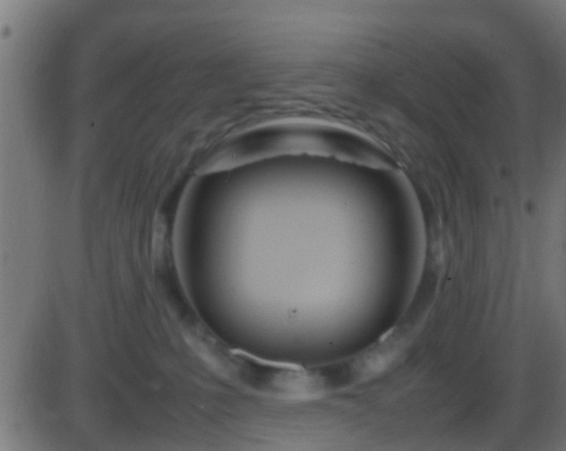 X0000086280231200704051343