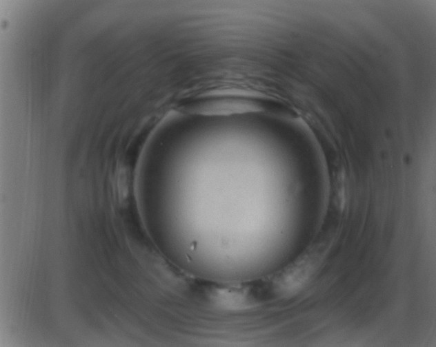 X0000086280232200704051343