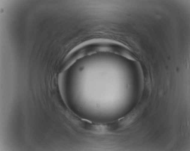 X0000086280233200704051343