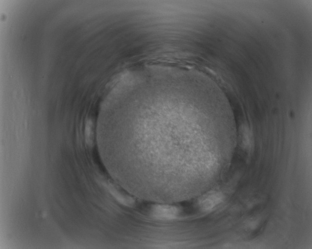 X0000086280234200704051343