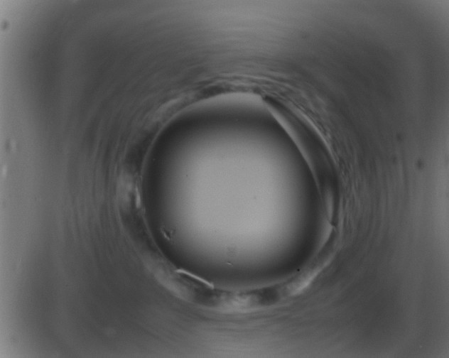 X0000086280235200704051343