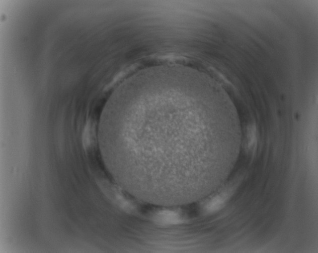 X0000086280236200704051343