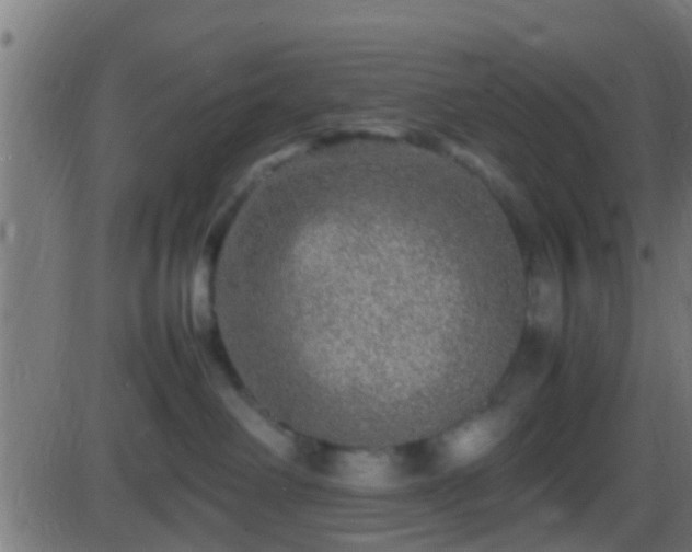 X0000086280238200704051343