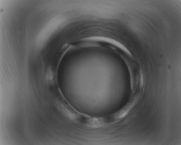 X0000086280239200704051343