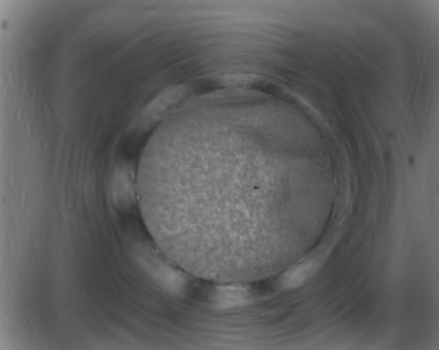 X0000086280240200704051343