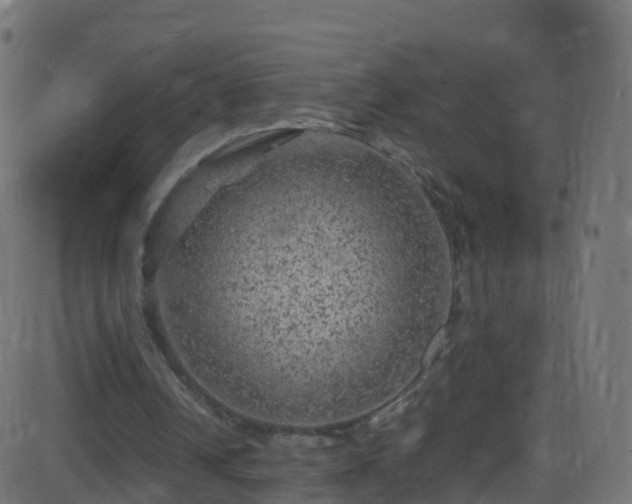 X0000086280242200704051342