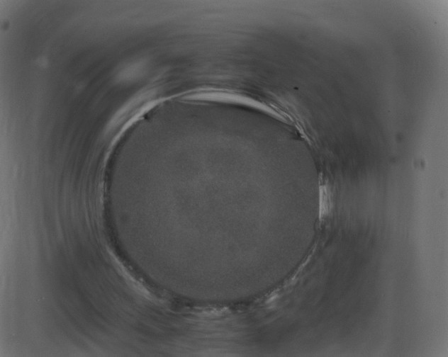 X0000086280243200704051342