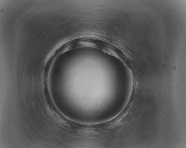 X0000086280244200704051342